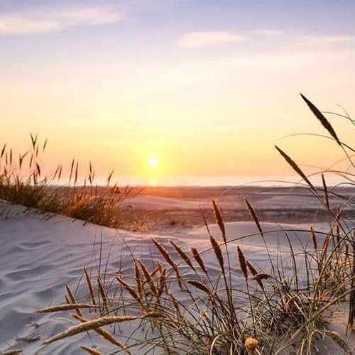 TRIOSK Sichtschutz Garten Dekoration Plane groß mit Motiv Strand Sonnenuntergang Meer Motivbanner Blickdicht für Terrasse Zaun Gartenzaun Gartenposter PVC Zaunblende 600x200 cm