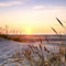 TRIOSK Sichtschutz Garten Dekoration Plane groß mit Motiv Strand Sonnenuntergang Meer Motivbanner Blickdicht für Terrasse Zaun Gartenzaun Gartenposter PVC Zaunblende 600x200 cm