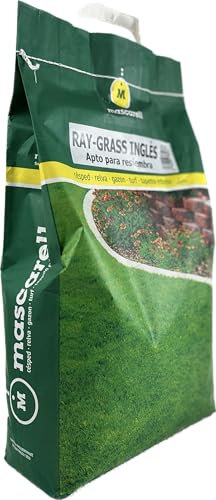 Mascarell Semillas, RAY-GRASS INGLÉS - VAR.CERTIFICADAS, Semillas de Césped, Verde y Duradero, Compacto y Resistente