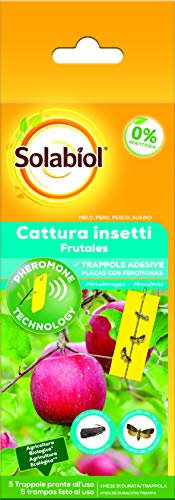 Solabiol Cattura Insetti per piante da Frutto. Trappola adesiva con feromone specifico per la cattura della Tignola Orientale e Carpocapsa del Melo