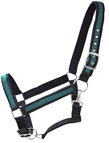 German Riding Kaltbluthalfter Big Boy schwarz-grün