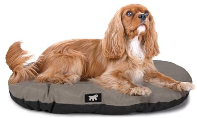 Ferplast Hundebett Relax, Hundekissen, Katzenkissen, Hundematte für Hundehütten und Autos – waschbar – aus Baumwolle mit weicher Polsterung, 65 x 42 cm. Braun