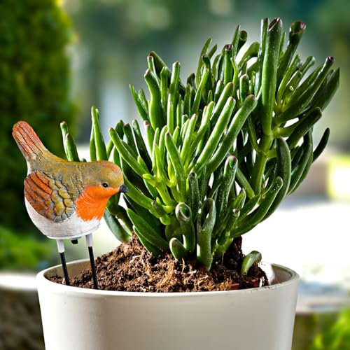 3 PAGEN® Gießanzeiger Rotkehlchen – akustisches Signal zum Gießen – Bodenfeuchtigkeitsmesser – Pflanzenpflege leicht gemacht – dekorative Figur mit cleverer Funktion – Feuchteanzeiger