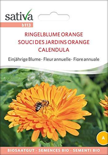 Ringelblume Orange | Bio-Ringelblumensamen [MHD 12/2018]