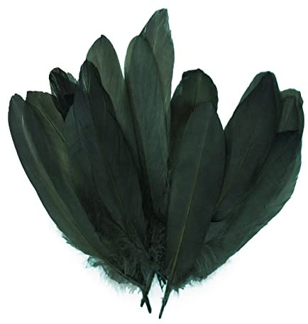 maDDma 20 Enten-Federn 15-21cm Bastelfedern Federn f. Basteln Dekoration Hüte Kostüme, Farbe:dunkel Petrol