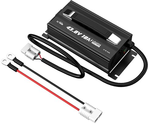 LiTime 43.8V 18A Lithium Battery Charger for 38.4V LiFePO4 Battery, AC-DC Smart Charger with 50A Anderson Connector, LED Indicator, Multiple Safety Protection for Golf Cart, RV, Boat and Home
