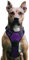 No Pull Hundegeschirr, Verstellbar Atmungsaktiv Reflektierend Weich Gepolstert Hunde Geschirr, Brustgeschirr für Hunde (Lila, S)