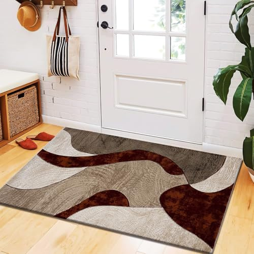 B&B Velvet Curve Door Mat for Indoor - Luxury Super Soft Cozy Dense Thick Pile Shaggy Doormats for Bedroom Living Room Kitchen Dining Area Entrance Matt (50 x 80 cm, Rust)