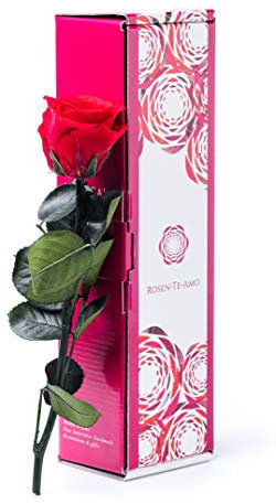Rosen-Te-Amo | Infinity Rose rot am Stiel - Rosenduft |Echte Rosen Geburtstagsgeschenk für Frauen, Ewige Rose in Geschenkbox || Konservierte Blume zum Weihnachten, Valentinstag, Mama, Deko Geschenk