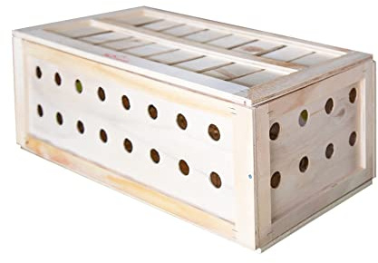 Caja Transporte Animales (60 x 30 x 20 cm) - Tamaño S - Transportín de Madera para Conejos, Perdices, Faisanes, Gallinas