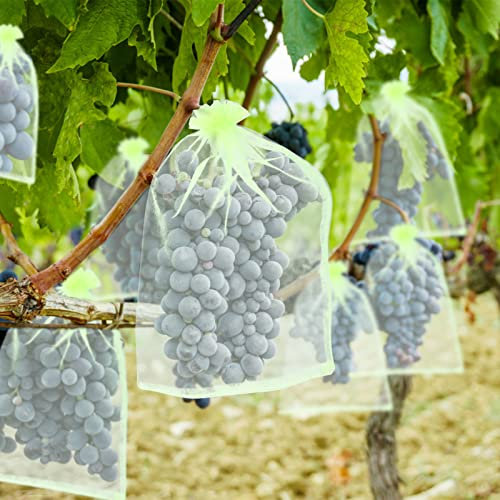 KINGLAKE 50pcs Fruit Protection Netting, Green Organza Gift Bags - Large, 20x30cm Garden Plant Protect Net for Fruits, Trees, Strawberry, Grape; Insects Barrier, Vegetables Mesh