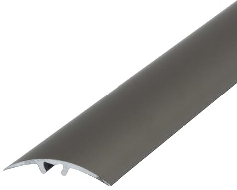 Dalsys Übergangsprofil Anpassungsprofil 90cm x 40mm zum Schrauben inkl. Befestigungsmaterial, aus Aluminium Champagner