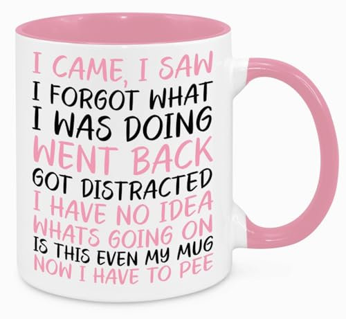 I Came I Saw I Forgot Mug - Funny Novelty Gift Silly Present Mugs for Women Birthday Christmas for Mum Dad Friend Sister for Men Colleague Secret Santa Work Quotes (Pink)