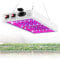 1000W LED Grow Light, Full Spectrum Grow Lamp Double Switch Plant Light for Greenhouse Hydroponic Indoor Plants Veg And Flower,Waterproof/Anti-Leakage (216 Leds)