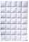 Billerbeck Daunendecke Martina® - 155 x 220 cm Decke - Ganzjahresdecke - allergikergeeignet – 90% Gänsedaunen, 10% Gänsefedern - weiß