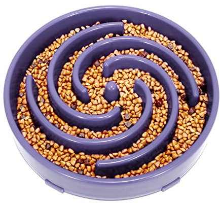 LEACOOLKEY Large Slow Feeder Dog Bowl,Maze Interactive Slow Eating Feeder Bowls, Anti Gulping Healthy Eating,Stop Bloat Pet Slow Down Feeding Dishes for Medium/Big Dogs