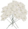 matches21 HOME & HOBBY Wachs-Rosen 10er Set weiß - dauerhaft haltbare Textil-Rosen mit Wachs-Blüten