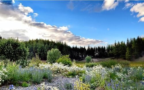 Fototapete 3D Effekt Tapete Holzoptik Moderne Einfache Tropische Outdoor-Garten Wilde Landschaft Hintergrund Wand 150cmx105cm Schlafzimmer Wohnzimmer Erwachsene Kinderzimmer Wanddeko, Wandbild, Wandt