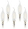 E14 Led Candle Bulbs, Frosted Flame Filament, SES C35 Small Edison Screw Light Bulb, 4W (40W Equivalent),Warm White 2700K, Pack of 5