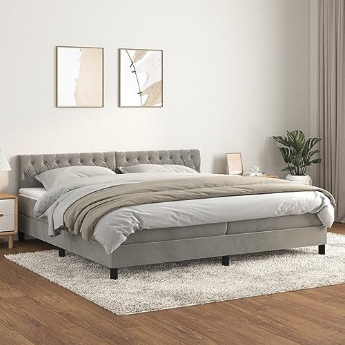 Willood Boxspringbett mit Matratze Hellgrau 200x200 cm SamtKnopfheftung Design
