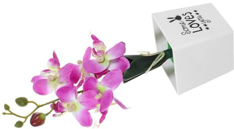HOLIDYOYO Künstliche Orchideen Bonsai Dekoration Lebensnahe Faux Blumen Im Topf Für Desktop Und Pflegeleichte Potted Pflanze Hochwertige Dekoration Für Zuhause