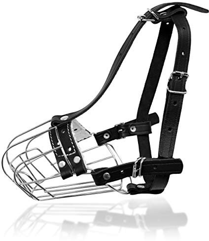 Hundemaulkörbe aus verchromtem Metall, verstellbare Lederriemen (Nr. 4). Der Umfang beträgt 23,8–28 cm, die Länge beträgt 7,8–8,9 cm