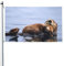 Lazy and Relaxing Otter Flagge 90 x 152 cm Flagge Lustige Outdoor Banner Urlaub Garten Flagge Willkommen Hof Banner Home Garden Yard Rasen Decor Flaggen, Indoor/Outdoor, doppelseitiger Druck