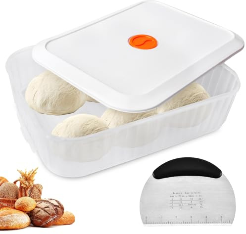 BAIFULAI Caja de pizza con tapa, 31 × 23 × 9 cm, caja de pasta, registro de fechas, bandeja de masa, caja de masa, recipiente para masa de pizza, recipiente para alimentos para masa de pizza, masa