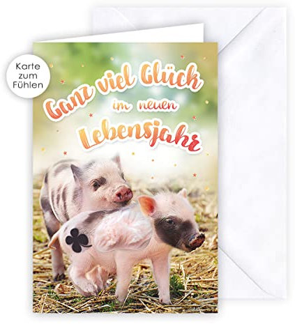 KE - Humorvolle Geburtstagskarte mit Fell, DIN B6 Format, inklusive Umschlag - Perfekt für Geburtstagsüberraschungen - Motiv: Schweinchen