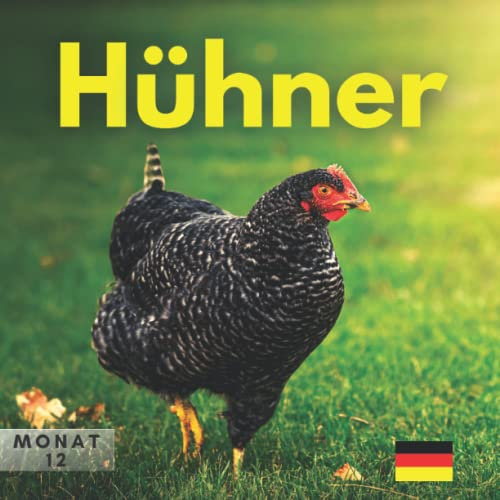 Hühner kalender 2023: Hühner kalender 2023 Für Frauen Männer Kinder Teenager Büro Freund Mitarbeiter | Lustige Geschenke für Weihnachten, Neujahr, Geburtstag ... | 12 Farbfotos
