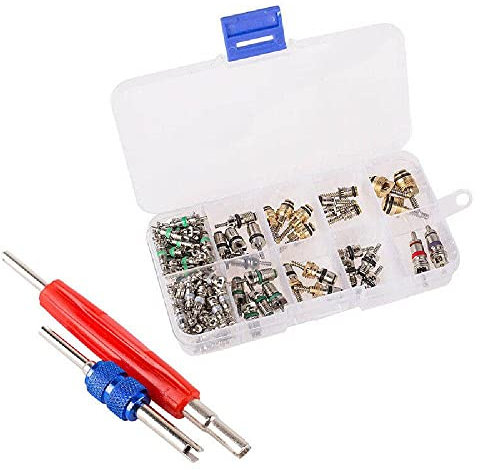 Vannes de noyau de valve de climatisation de voiture Riloer R134a/R12 avec 2 outils de retrait durables