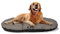Ferplast Hundebett Relax, Hundekissen, Katzenkissen, Hundematte für Hundehütten und Autos – waschbar – aus Baumwolle mit weicher Polsterung, 85 x 55 cm. Braun