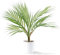 Künstliche Areca-Palme, 40 cm, kleine tropische Palme mit Kunststoff-Pflanzgefäß, perfekte künstliche Dypsis Lutescens Pflanzen für Zuhause, Büro, Zimmer, Schreibtisch, Dekoration, Einweihungsgeschenk