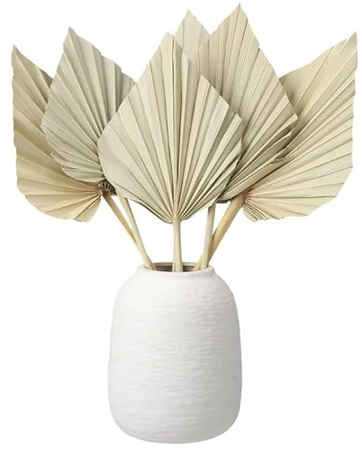 ZhouBoat 6 Pcs Small Boho Dried Palm Fans,Natural Dried Palm Spears Leaves with Stem Bohemian Dried Flower Bouquet Tropical Palm for Boho Wedding Vase Table Decor