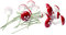 Amosfun Mini Pilze Fliegenpilz am Draht DIY Basteln Rot Pilz Glücksbringer Miniaturhaus Feengarten Blumentöpfe Bonsai Mikro Landschaft Dekoration 10 Stücke Herbstdeko Weihnachtsdeko Tischdeko