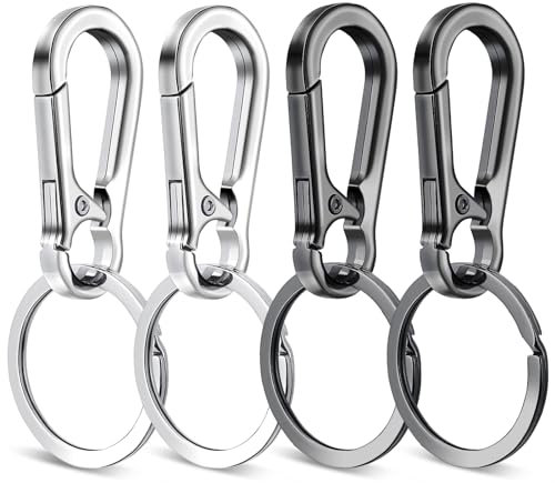 Teaaha 4 PCS Keyring & Swivel Lobster Clasps, Small Carabiner Clip Mini Key Ring Chain Holder Organizer for Purse Charm, Car Keychain, Paracord Keychain Lanyard, Men and Women Key Fob (Black, Silver)