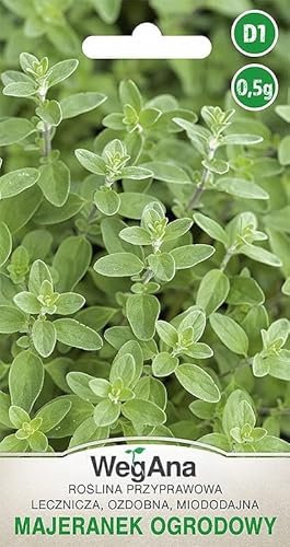 WegAna Semillas de Mejorana 0.5g, Semillas de Hierbas Robustas Semillas de Hortalizas Semillas de Cultivo Hierbas de Cocina Balcón & Jardín Especias