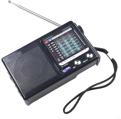 Radio portable AM/FM/météo, design compact portable avec antenne télescopique, son clair et alimentée par piles (2 x AA), idéale pour une utilisation en urgence/en extérieur, comprend 1 récepteur