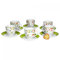 Van Well Vario Set of 6 Coffee Cups with Saucers, White Porcelain Set with Flower Design, Coffee Service Dishwasher Safe and Microwave Safe, Cup 200 ml + Saucer 14.5 cm