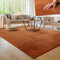 Paco Home Moderner Kuscheliger Wohnzimmer Teppich Kurzflor waschbar flauschig Weich Einfarbig Felloptik zeitlos stilvoll rutschfest pflegeleicht, Grösse:240x340 cm, Farbe:Kupfer