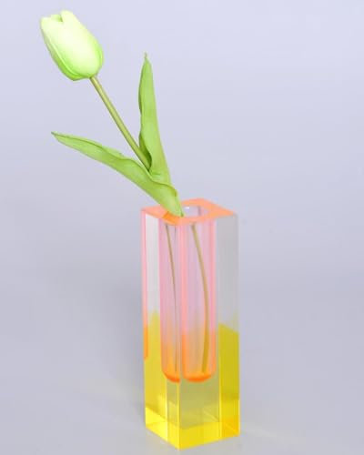 HLYU Acryl-Vase, Knospenvase für Tafelaufsätze, maximalistische Dekoration, niedliche Blumenvasen für modernes Zuhause, Büro, Schlafzimmer, Wohnzimmer, Esstisch (Rosa, Gelb)