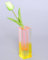 HLYU Acryl-Vase, Knospenvase für Tafelaufsätze, maximalistische Dekoration, niedliche Blumenvasen für modernes Zuhause, Büro, Schlafzimmer, Wohnzimmer, Esstisch (Rosa, Gelb)