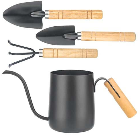 XTDMJ Arrosoir noir de 350 ml pour plantes d'intérieur avec 3 outils de jardin, mini arrosoir, en acier inoxydable, long bec, arrosoir de jardin pour plantes d'intérieur et plantes succulentes