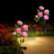XRR Solarlampen für Außen Garten Solarleuchten Außen Deko mit 10 LED Rose Lichter - LED Solarleuchten Garten Dekoration für Büsche, Rasenflächen, Zäune, Rasen, Terrasse (Rosa)