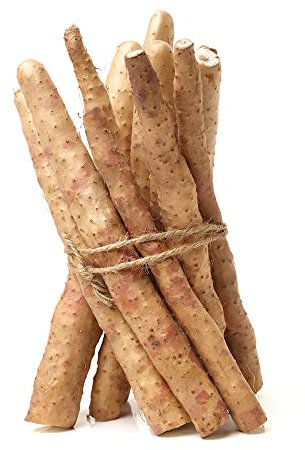 Yamswurzel Bio Samen, Yam Yams, Dioscorea Opposita, Balkonpflanzen Winterhart Calathea Pflanze Küchenkräuter Samen Geschenke Garten Balkon Beet Gemüsesaat Balkon Pflanze Gärtner 30 Stück