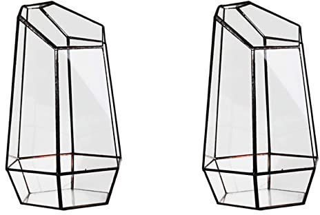 VENEKA Jarrón hexagonal de cristal para invernadero de casa, 2 unidades