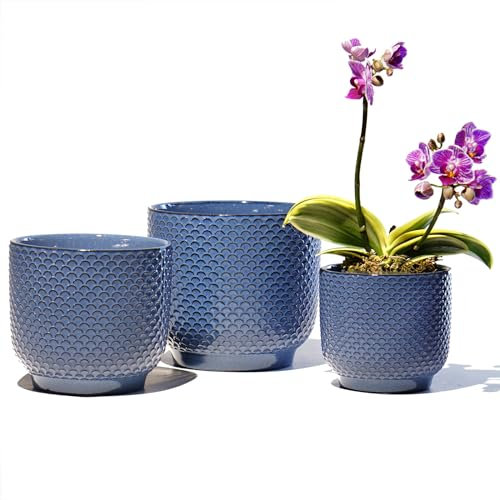 Homephyte Lot de 3 pots en céramique de 10,2 cm + 12,7 cm + 15,2 cm + 15,2 cm pour plantes d'intérieur et d'extérieur, pots de fleurs en terre cuite (gris bleu, 10,2 cm + 12,7 cm + 15,2 cm)