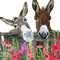 20 Servietten Zwei neugierige Esel | Tiere | Blumen | Frühling | Sommer 33x33cm