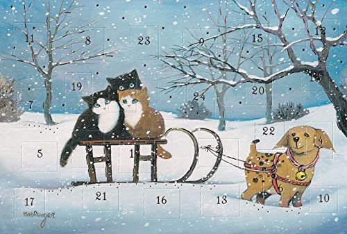 Wunderschöne Katzen Adventskalenderkarten 4 Stück Doppelkarte Weihnachten
