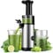 KIDISLE Compact Juicer Machines Powerful Cold Press Juicer Easy to Clean Slow Juicer High Yield Juice Extractor Low Noise Masticating Juicer for Fruits and Vegetables Reverse Function 600ml Cup Brush